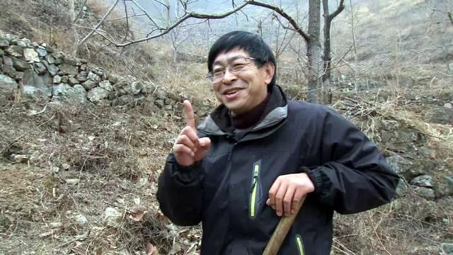 致富养殖大雁图片_大雁养殖真实利润_养殖大雁致富经