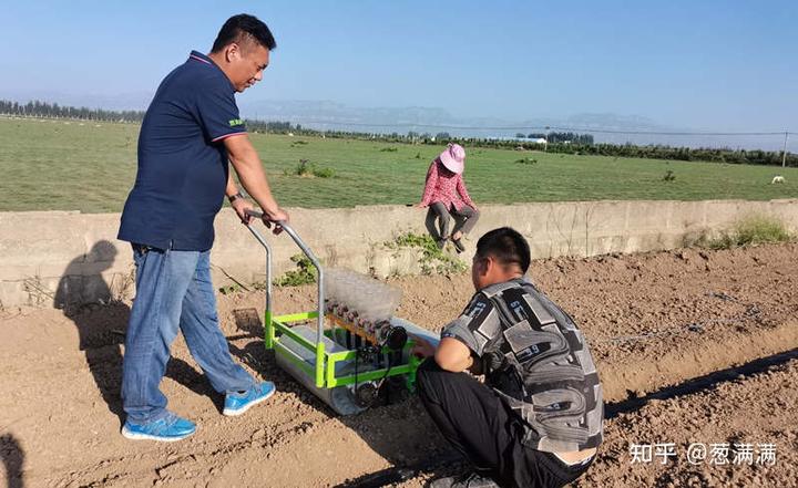 葱籽怎么种植方法如下_分葱籽怎么种植技术_葱籽怎么种出苗快