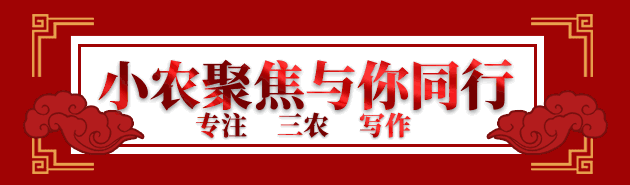 玉米芯栽培平菇技术分析——以绥化市北林区为例，不妨一看
