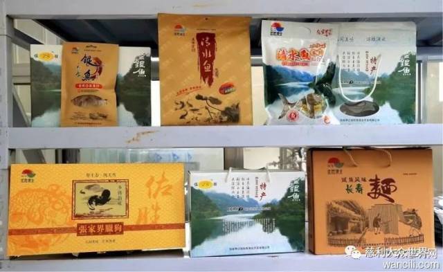 视频致富养殖田鸡是真的吗_养殖田鸡赚钱吗_致富经田鸡养殖视频