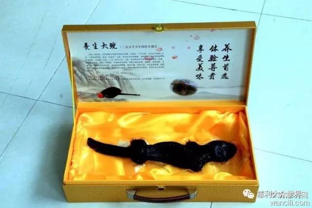视频致富养殖田鸡是真的吗_养殖田鸡赚钱吗_致富经田鸡养殖视频