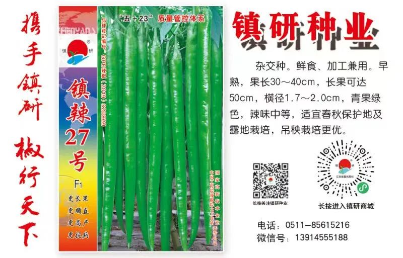 农业致富种植菌茹_菌菇种植方法技巧_菌菇种植前景