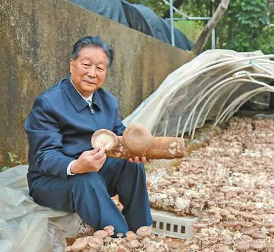 人民日报聚焦菌草技术发明人林占熺：点草成金造福更多人