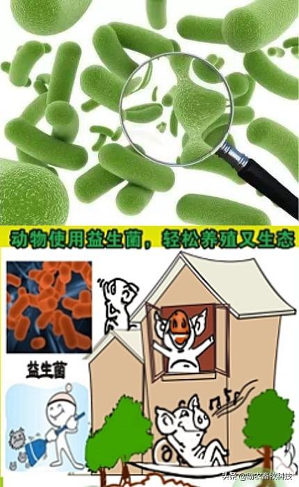 现代养殖新技术_现代养殖生产技术_养殖现代生产技术论文
