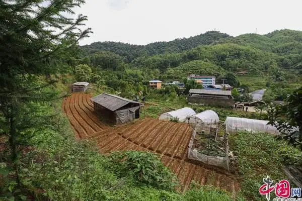 虫子的养殖方法致富经_致富经养虫子鸡视频全集_致富虫子养殖方法有哪些