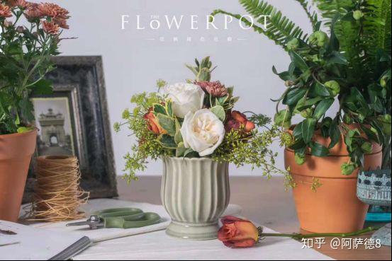 扶桑牡丹的修剪_扶桑牡丹花种植技术_扶桑牡丹的花期
