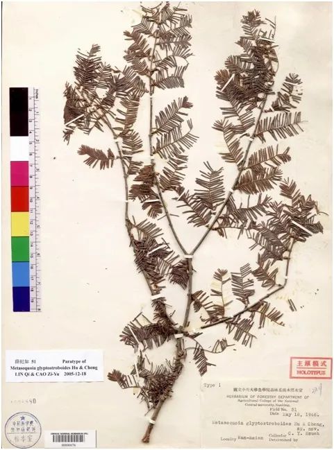 植物种植技能_植物栽培新技术_植物种植技术员