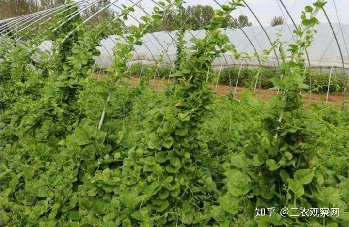 自然资源养殖致富_养殖致富之路_养殖致富经