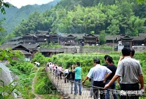 致富种植创业项目_中国种植致富项目_种植致富新项目