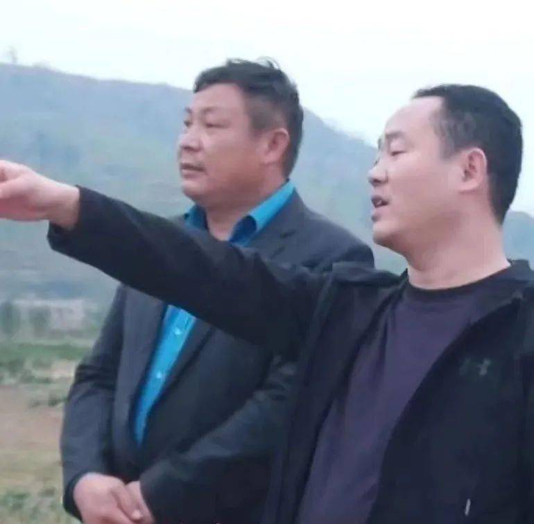 致富种植扁桃图片_扁桃种植致富_扁桃种植效益