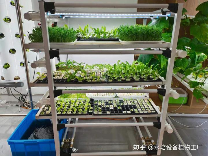 养殖种植技术培训_种植技术养殖_养殖种植技术问题