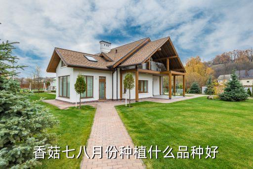 香菇七八月份种植什么品种好