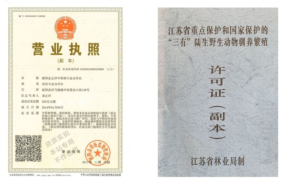 立体养殖蟾蜍致富_立体养殖蟾蜍致富_立体养殖蟾蜍致富