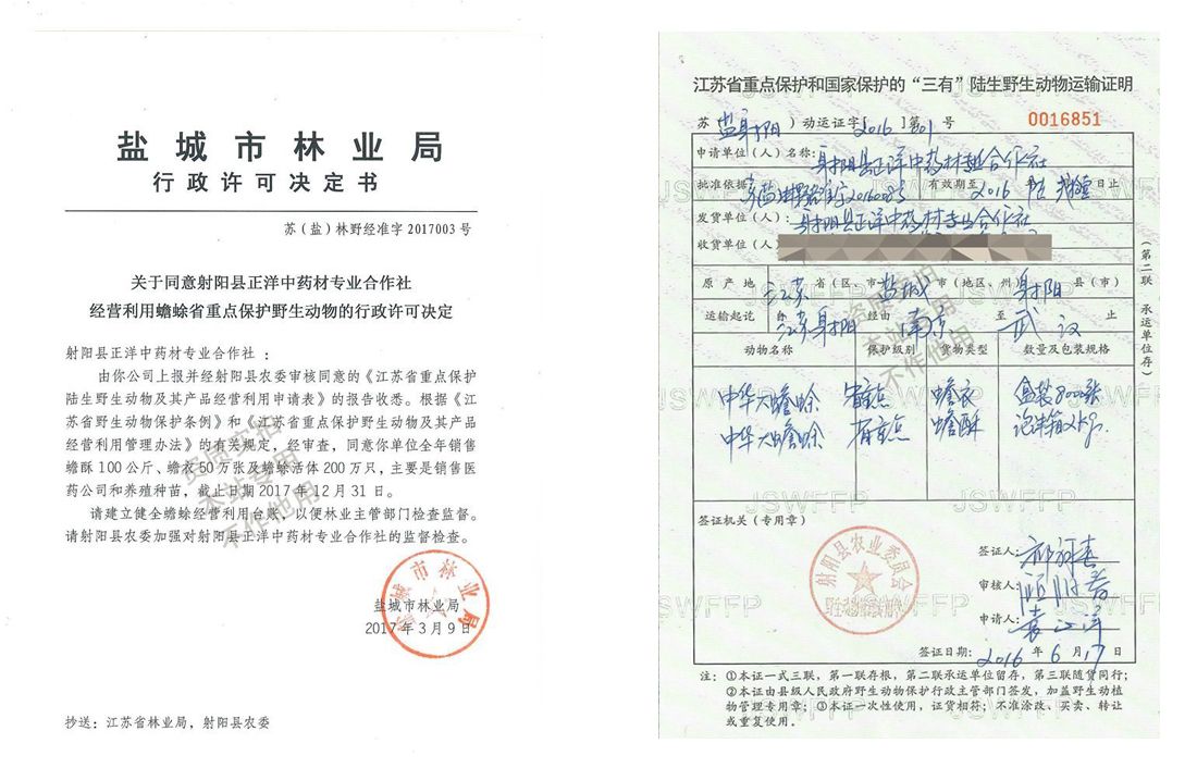 立体养殖蟾蜍致富_立体养殖蟾蜍致富_立体养殖蟾蜍致富