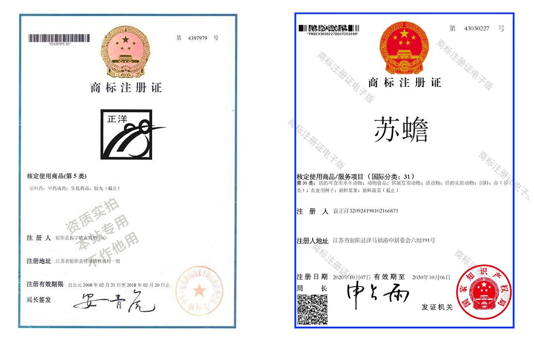 立体养殖蟾蜍致富_立体养殖蟾蜍致富_立体养殖蟾蜍致富