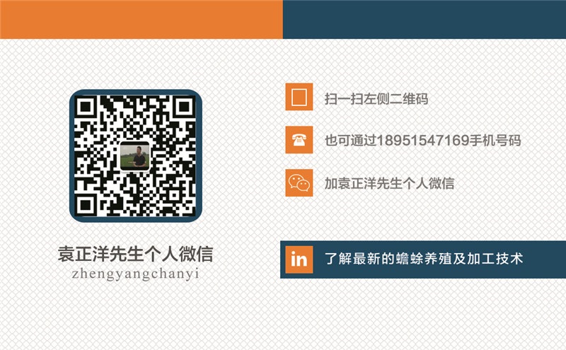 立体养殖蟾蜍致富_立体养殖蟾蜍致富_立体养殖蟾蜍致富