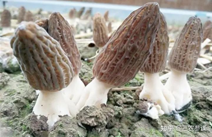 致富经养殖鱼视频_致富经养鱼视频大全集_致富经俞淳养殖视频