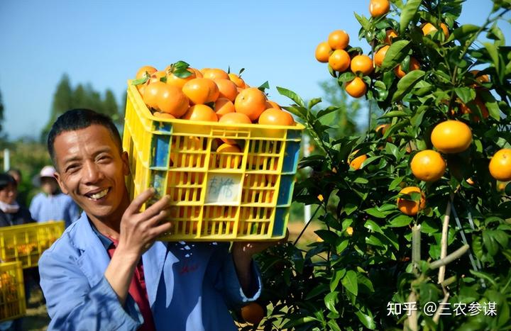 致富经养殖鱼视频_致富经俞淳养殖视频_致富经养鱼视频大全集