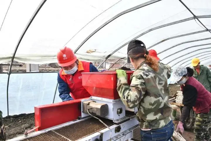 电力优质服务典型经验_电力典型经验材料范文_典型电力优质经验服务方案
