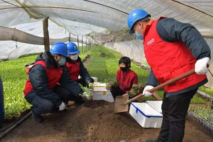 典型电力优质经验服务方案_电力优质服务典型经验_电力典型经验材料范文