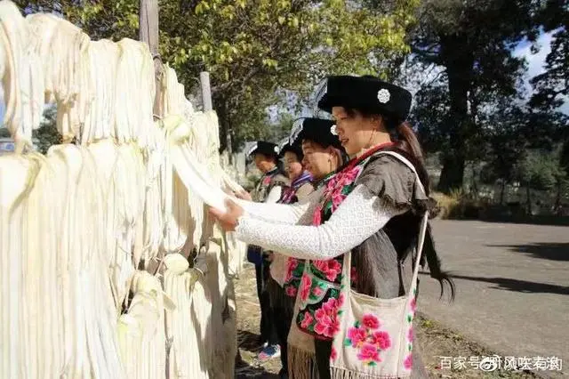 南华：“中国野生菌之乡”，按下产业发展“快进键”