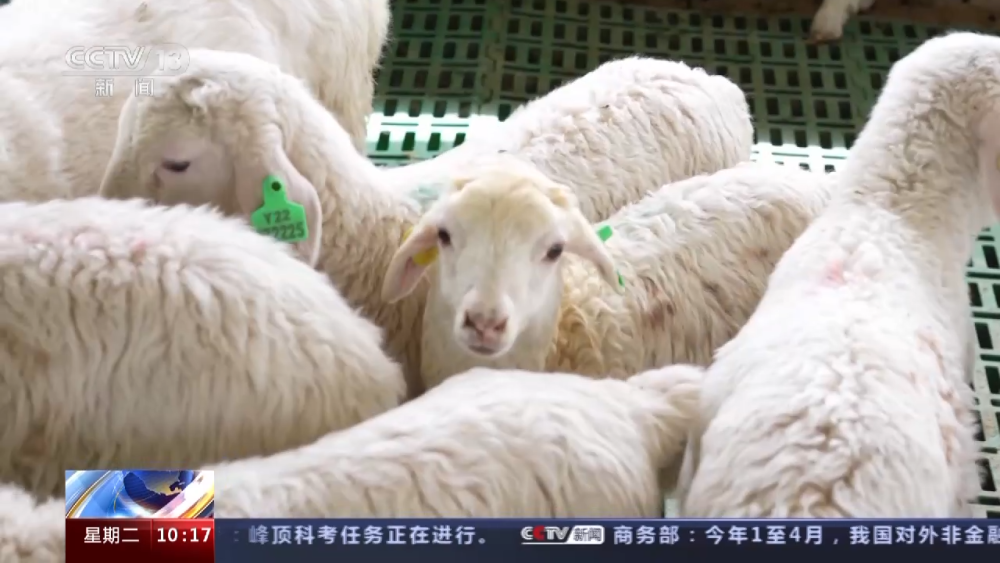 通过养殖致富_致富养殖通过什么发展_致富养殖通过什么赚钱