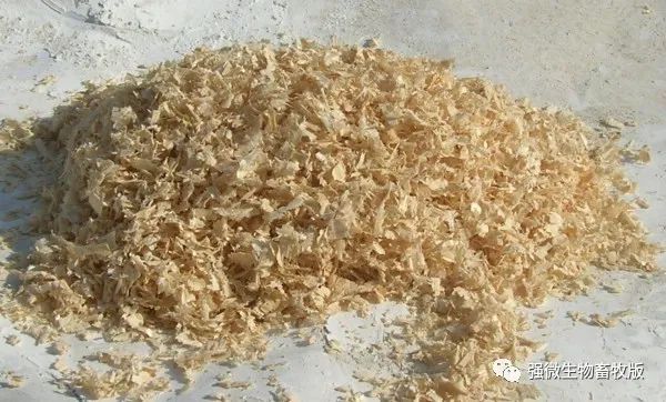 生物垫床养殖_养殖垫子_床垫法养殖技术