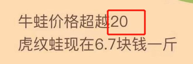 2021年养殖致富前景_2021年致富的养殖业_致富养殖信息