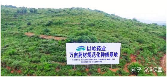 以岭药业帮涉县农民致富开出好“药方”