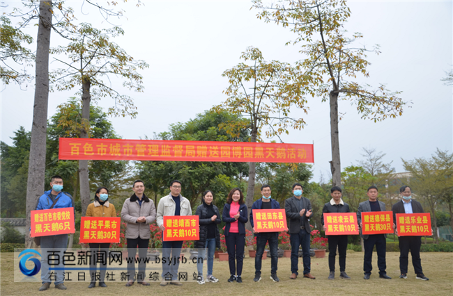黑天鹅养殖技术视频_天鹅养殖的技术要求_天鹅养殖场