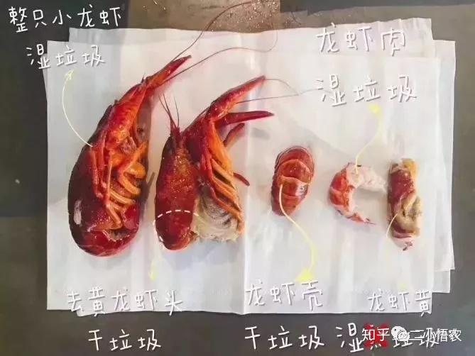 桂鱼网箱养殖新技术_桂鱼网箱最新技术视频_网箱养殖鳜鱼技术的三个步骤
