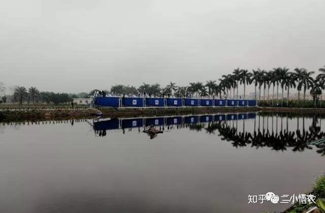 网箱养殖鳜鱼技术的三个步骤_桂鱼网箱养殖新技术_桂鱼网箱最新技术视频