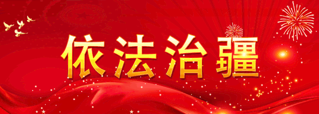 肉鸽养殖致富方法_致富经养肉鸽视频_致富养殖方法肉鸽图片