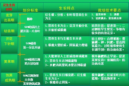 春花生高产种植技术_春花种植技术与管理_春花生高产栽培技术