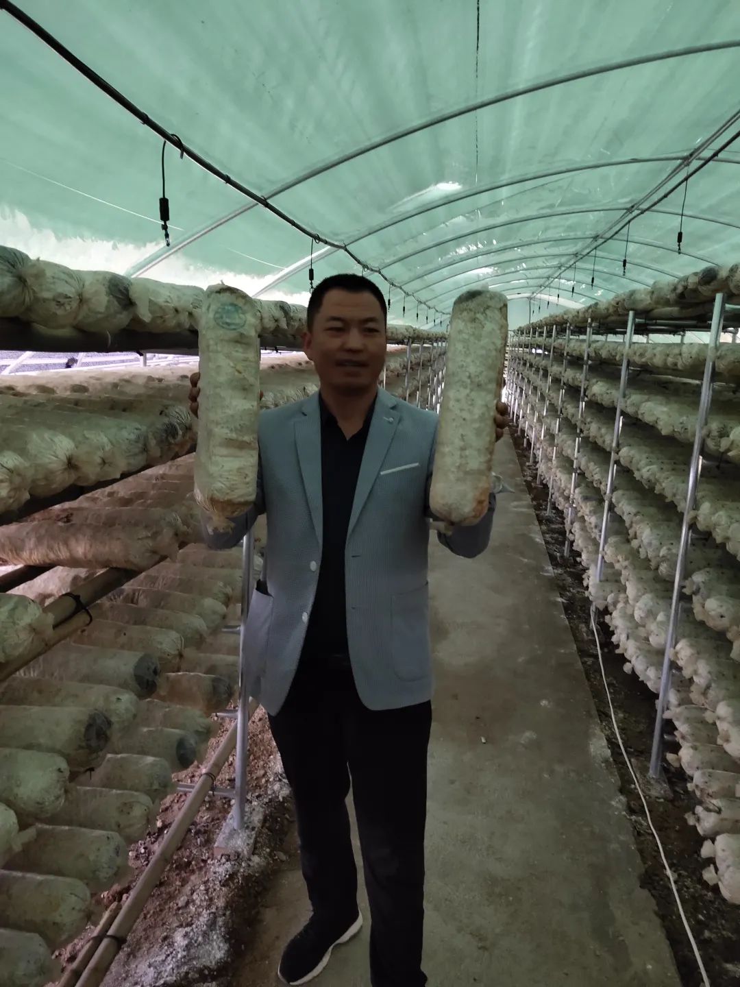 甘肃种植大棚致富_甘肃农业温室大棚_甘肃省大棚种植基地