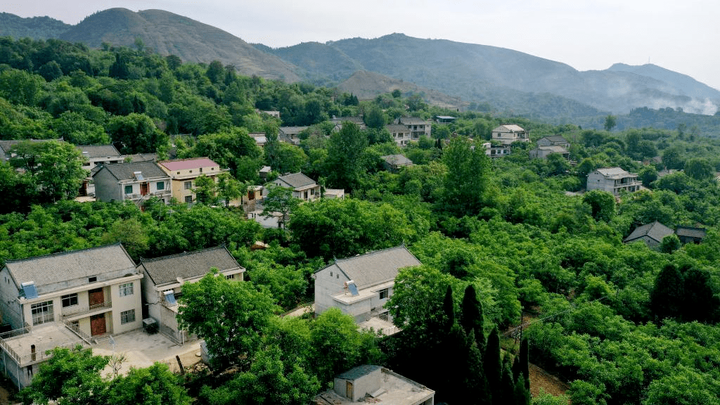 核桃种植效益_致富经核桃种植_致富核桃种植视频