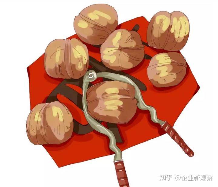 致富经核桃种植_致富核桃种植视频_致富核桃种植技术视频