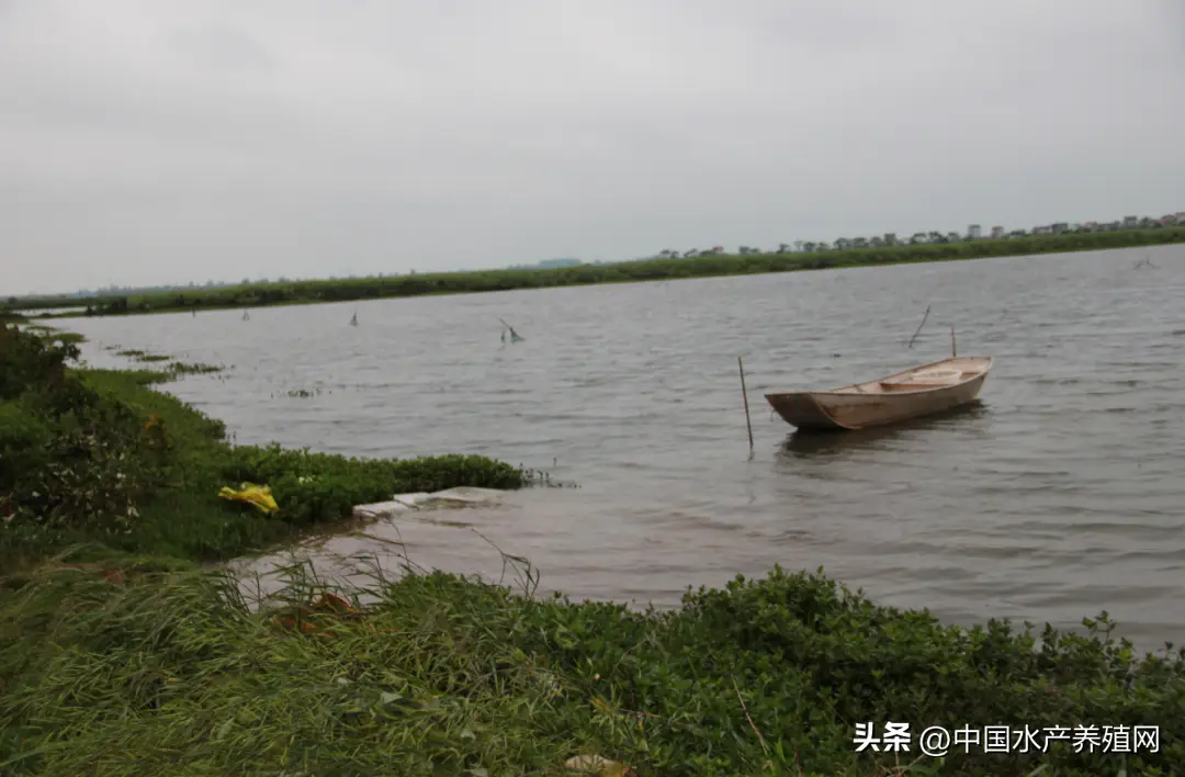 小龙虾养殖技术人员_龙虾养殖人员技术小结_龙虾养殖人员技术小结报告