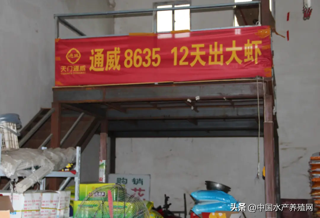 小龙虾养殖技术人员_龙虾养殖人员技术小结报告_龙虾养殖人员技术小结