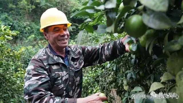 湖南柠檬种植致富_湖南柠檬树_2021种植柠檬前景