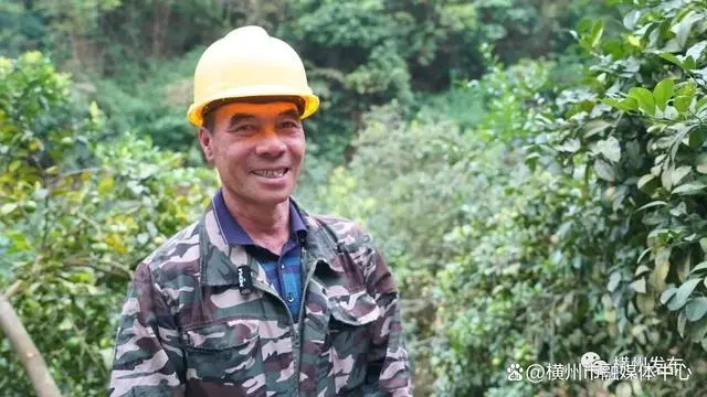 2021种植柠檬前景_湖南柠檬树_湖南柠檬种植致富