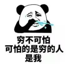 肉猪养殖前景_猪肉养殖场_养殖猪肉致富