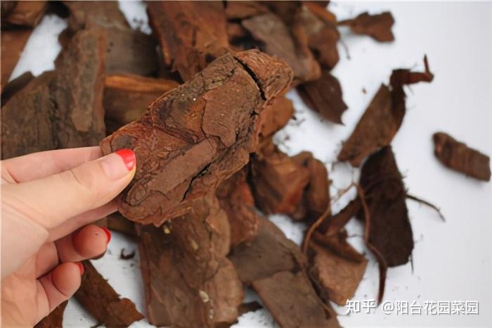 兰花种植致富经_致富兰花种植时间_致富经兰花种植视频