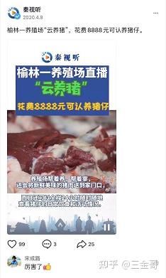 猪肉养殖业_养殖猪肉致富_肉猪养殖前景
