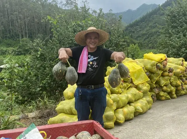 2021种植柠檬前景_湖南柠檬树_湖南柠檬种植致富