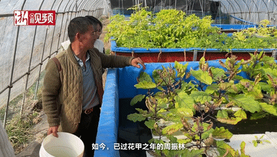 致富真假农业真实案例_致富农经_农业致富经真假