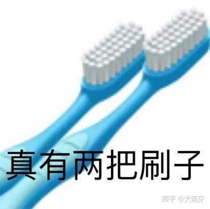 种植致富业_农村致富种植牙品牌_种植致富新项目