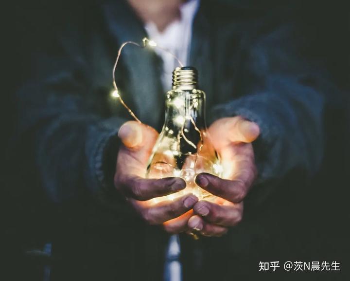 种植致富业_种植致富经_致富经种植成百万富翁