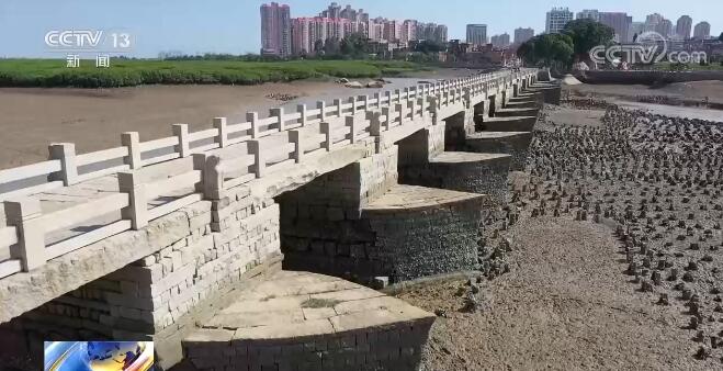 海上养殖什么最有前景_海上养鱼视频_海上养殖的技术视频大全