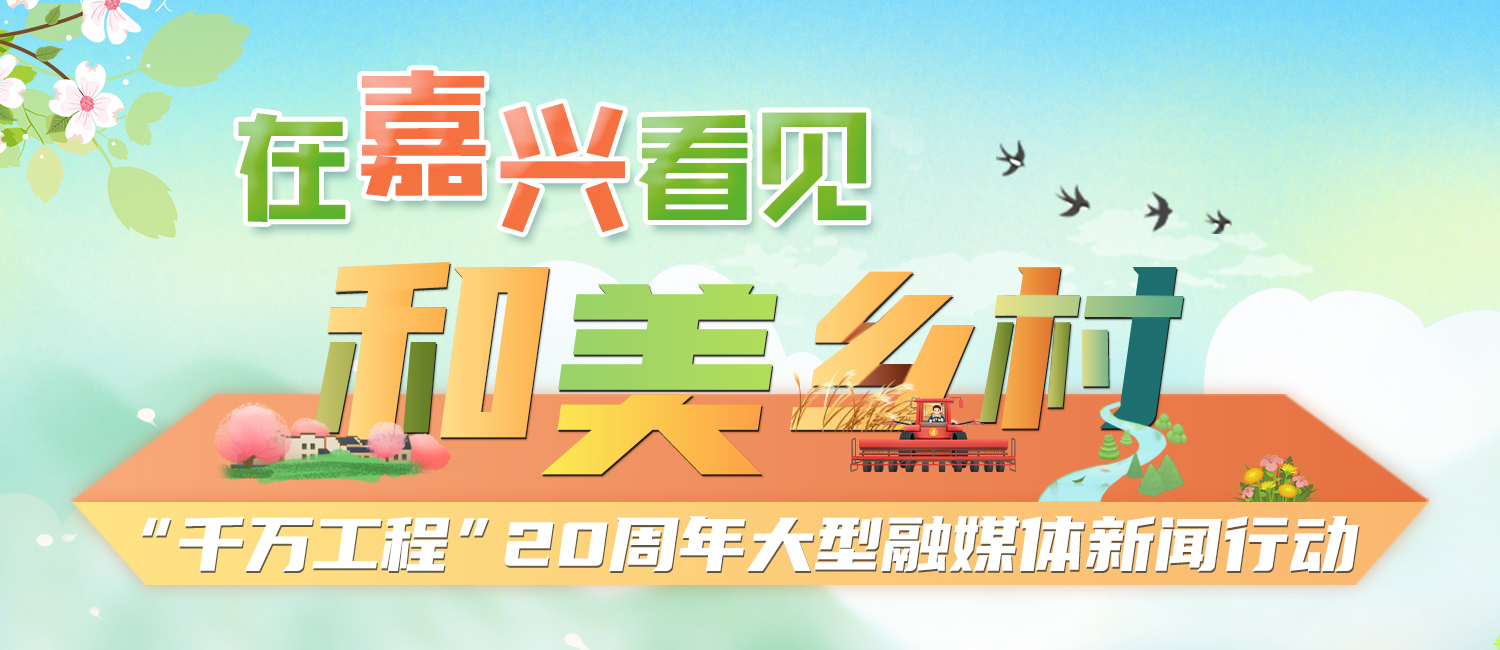 黑龙江养殖蜗牛致富新闻_致富经蜗牛养殖视频_黑龙江的蜗牛